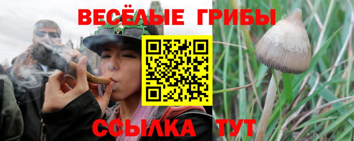 Галлюциногенные грибы GOLDEN TEACHER Рассказово