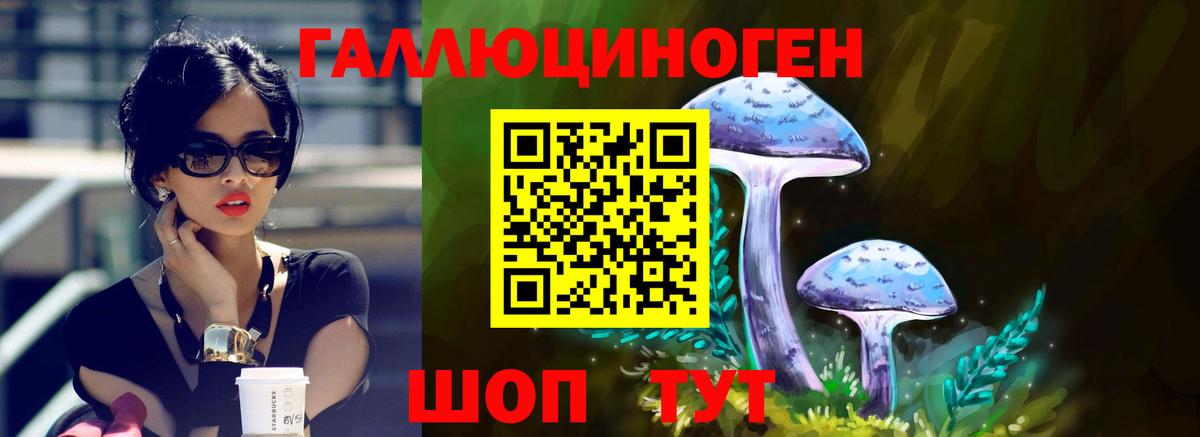 Галлюциногенные грибы Psilocybine cubensis  Псилоцибиновые грибы GOLDEN TEACHER  Рассказово  Вход с VPN 